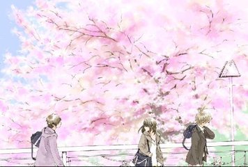 深入了解 芒果视频黄永久